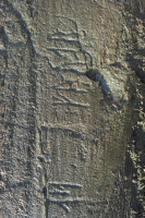 Image of Bo NIYR5;224