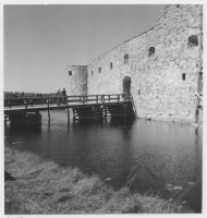 Kronobergs slottsruin