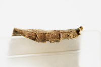 Image of Ög UVÖst2009:5;45