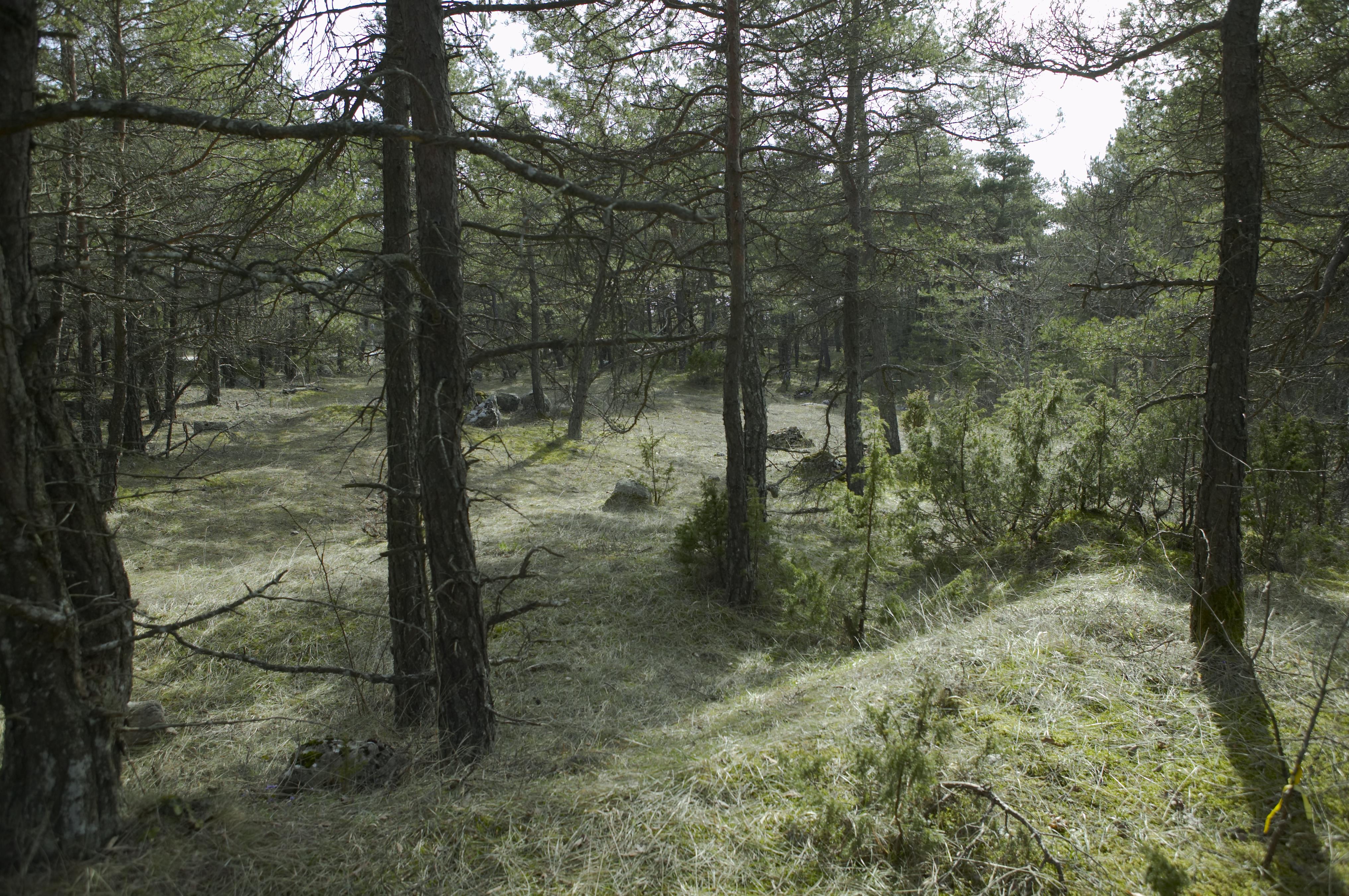 Bengt A Lundberg, Stenkumla gravfält 4:1