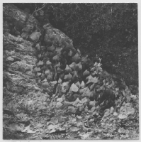 Grogarnsberget