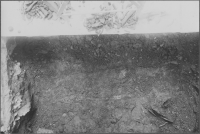 Vadstena Klosterkyrka