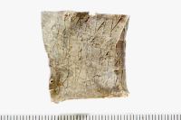 Image of Ög UVÖst2009:5;45