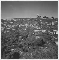 Borgholms slottsruin