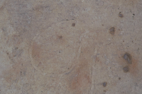 Stifts- och landsbiblioteket i Skara