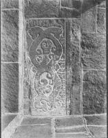 Image of Bo NIYR5;221A