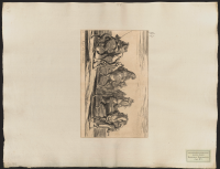 53. Deras övriga hästar