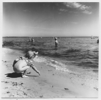 Falsterbo badstranden