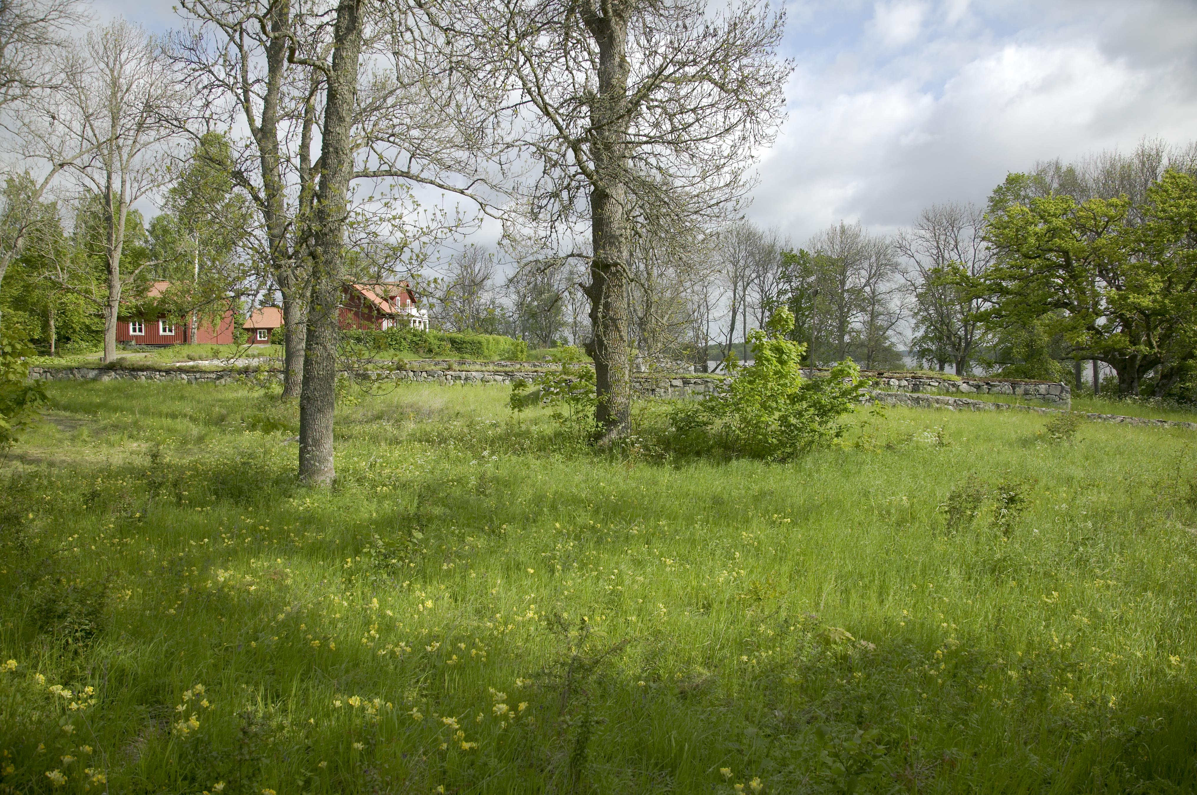 Bengt A Lundberg, Vårfruberga klosterruin