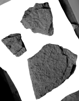 Image of Sö 356