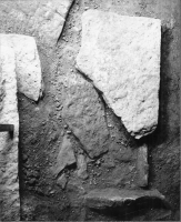 Skara domkyrka (Sankta Maria kyrka)