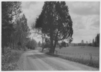 Rinnen, två fridlysta enar