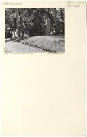 Lilla Kyringe. Runsignum: Vs 15