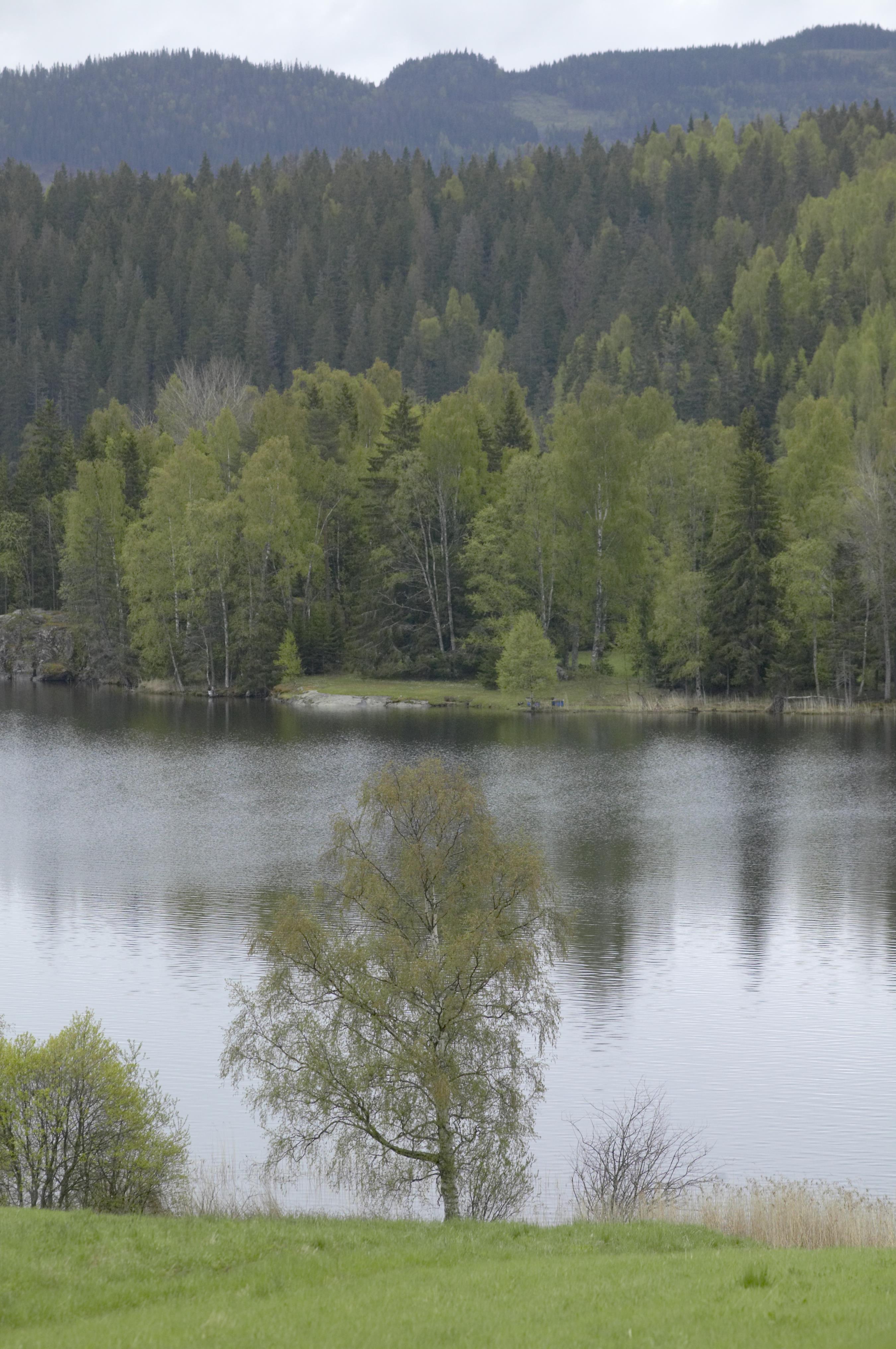 Bengt A Lundberg, Nordingrå