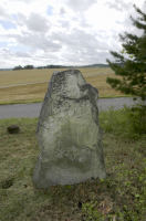 Image of Sö 209