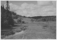 Bäckdal med myr söder om Håbols kyrka