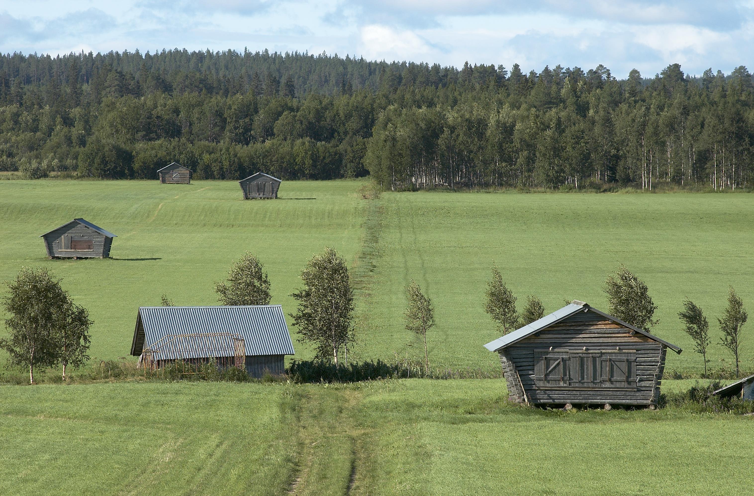 Bengt A Lundberg, Avan
