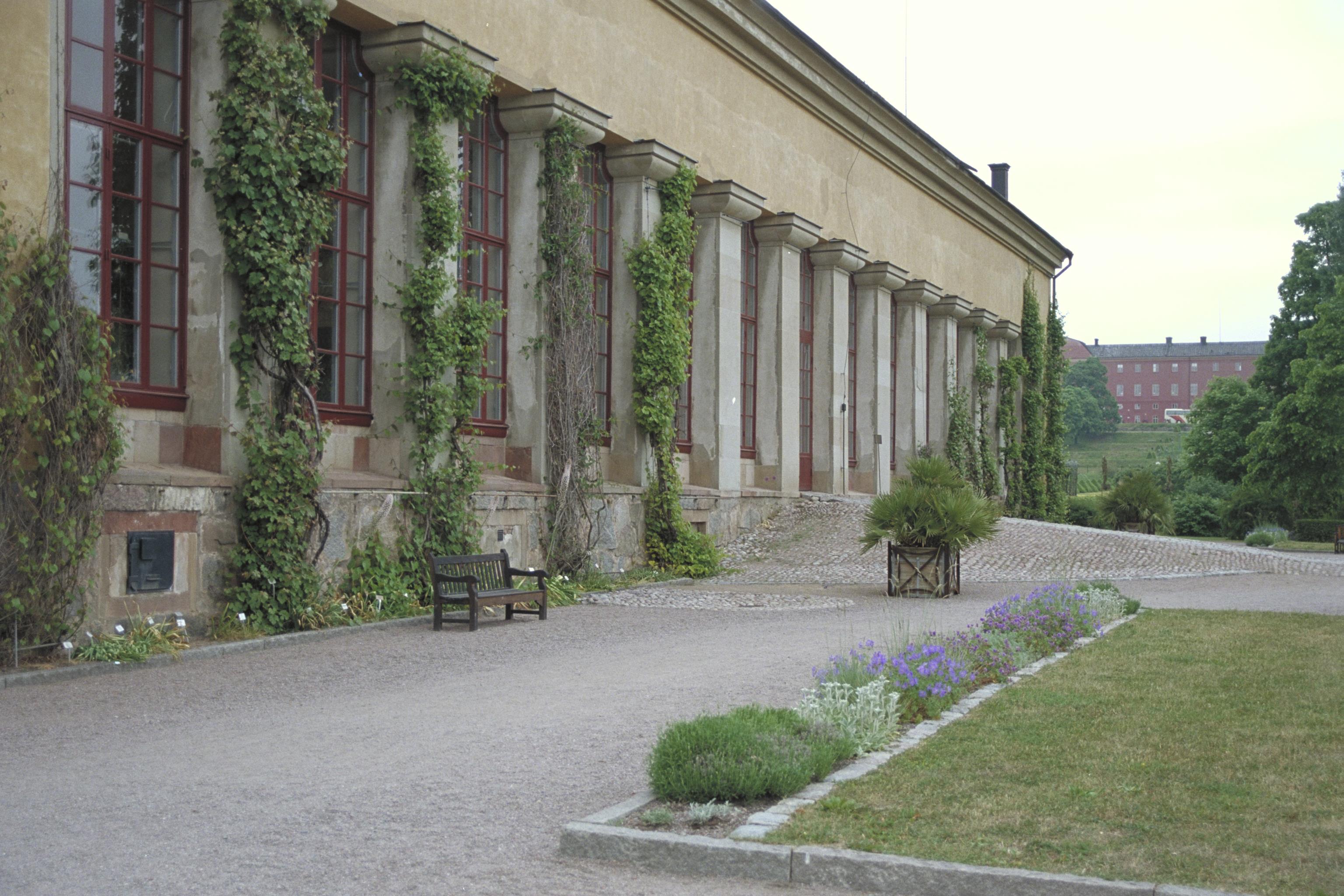 Bengt A Lundberg, Botaniska trädgården