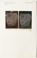 Tuna. Runsignum Sö 244