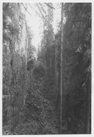 Eksjö landsfästning, Skurugata naturreservat