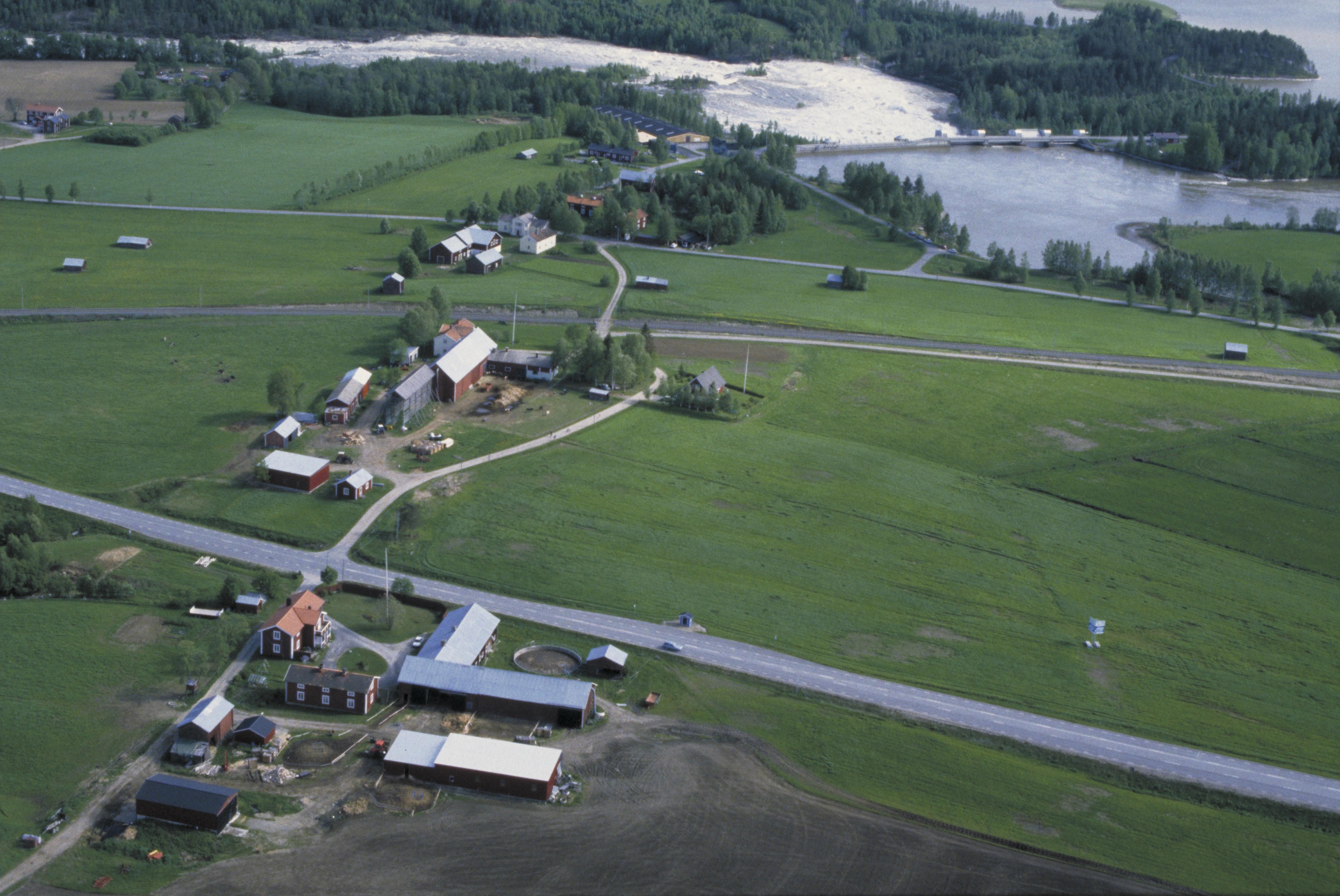 Jan Norrman, Umeå stad 226:1