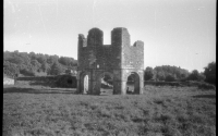 Mellifont Abbey