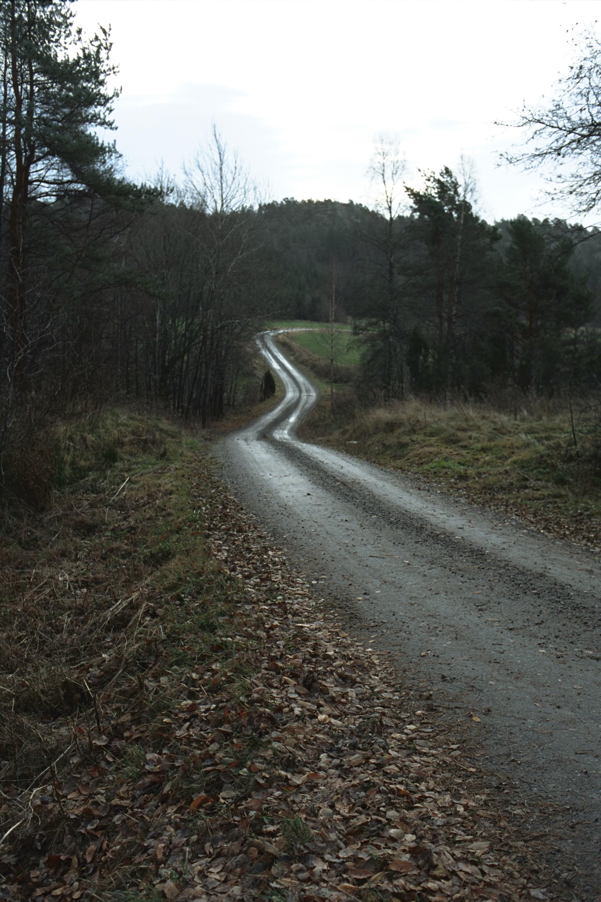 Bengt A Lundberg, Tanum