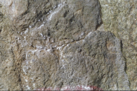 Image of Sö Sb1965;19