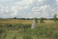 Image of Sö 131