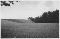 Snavlunda socken, åkermark