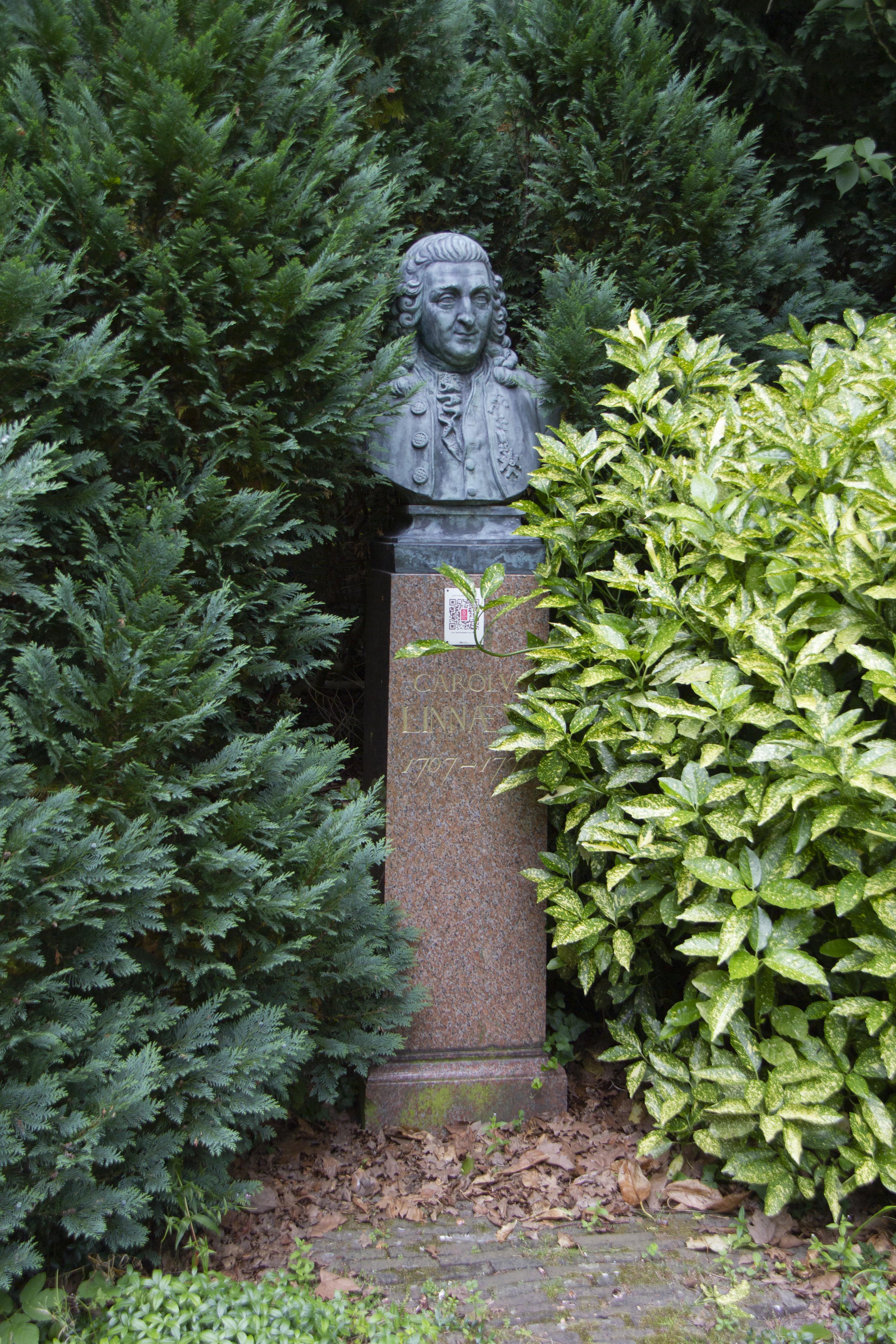 Leif Gren, Hartekamp i Heemstede