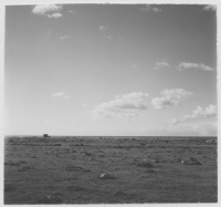 Grundården storbonde