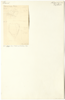 Image of Öl Köping3