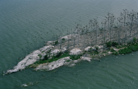 Vargrundet i Bråviken