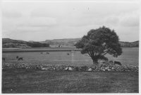 Mellan Orrekläpp och Grebbestad