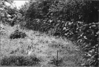 Ryda, Halvås kyrkplats Och ruin