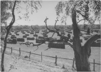 Johannishus, slåtter