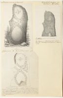 Öster Bröta. Runsignum Sö 292