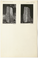 Sparsta Hagstugan. Runsignum Sö 130