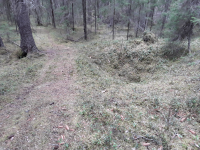 Fångstgrop L1948:9544