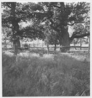 Värnanäs herrgård