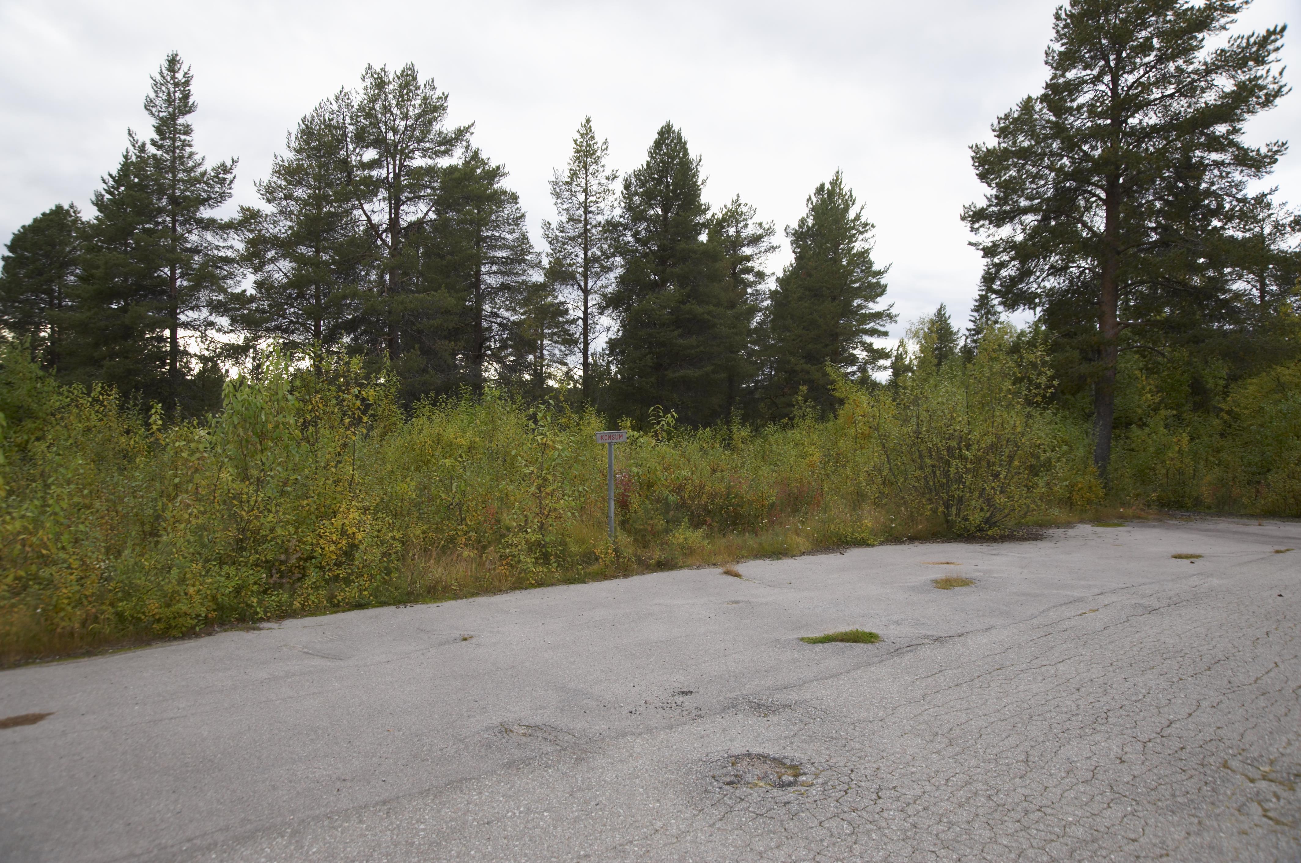 Bengt A Lundberg, Harsprånget
