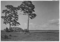 Store Mossen, stranden av Kävsjön