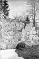 Skog, Sankt Olofs kapellruin