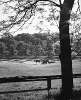 Västmanlands län, Strömsholm