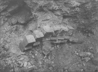 Skänninge, Allhelgona Församling