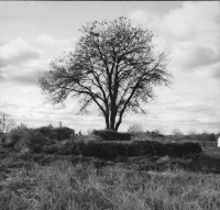 Vintrosa, Granhammars kyrkoruin