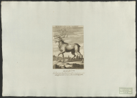 Grevskapet Ålands vapen