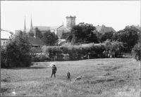 Skara domkyrka (Sankta Maria kyrka)