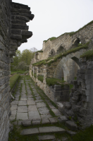 Image of Ög HedvallMenander473